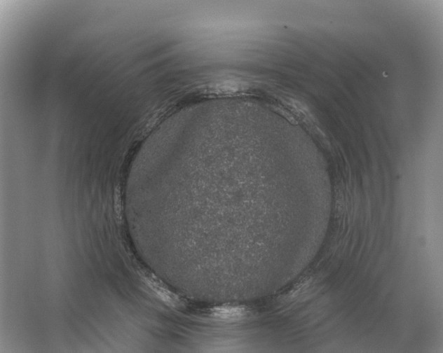 X0000064740457200602241804