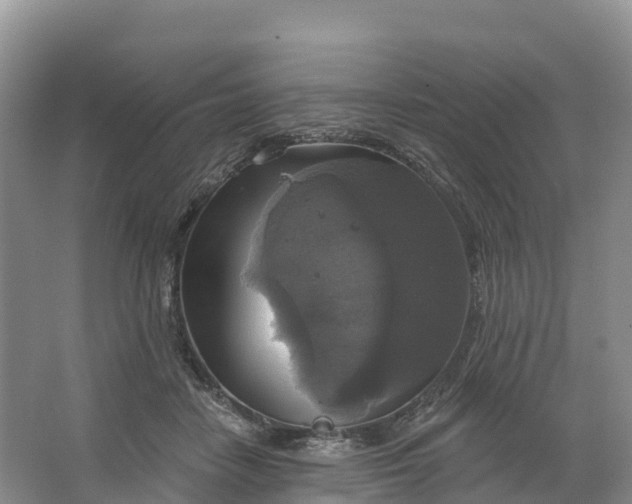 X0000064740458200602241804