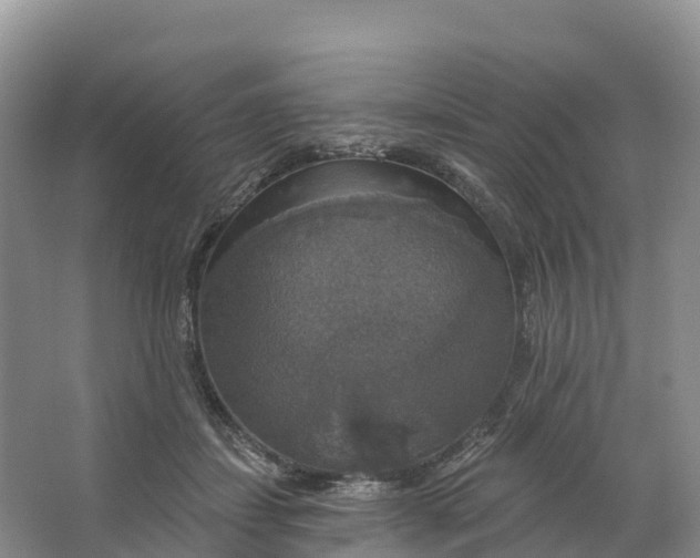 X0000064740459200602241804