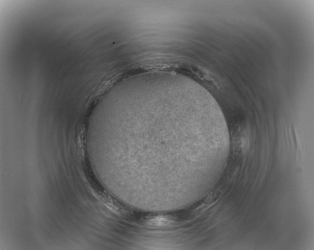 X0000064740460200602241804