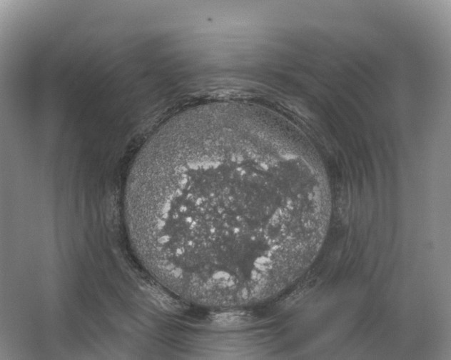 X0000064740461200602241804