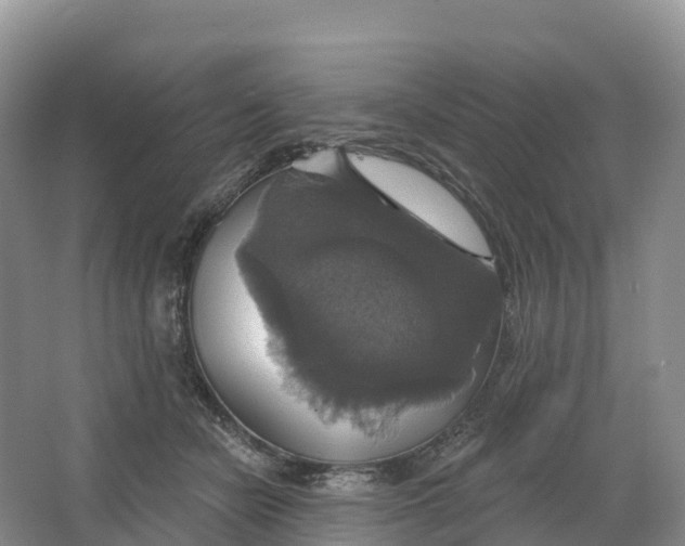 X0000064740462200602241804