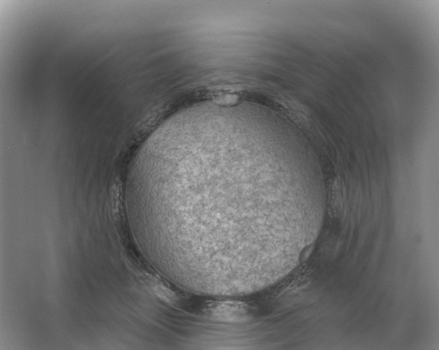 X0000064740463200602241804