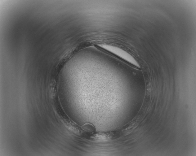 X0000064740464200602241804