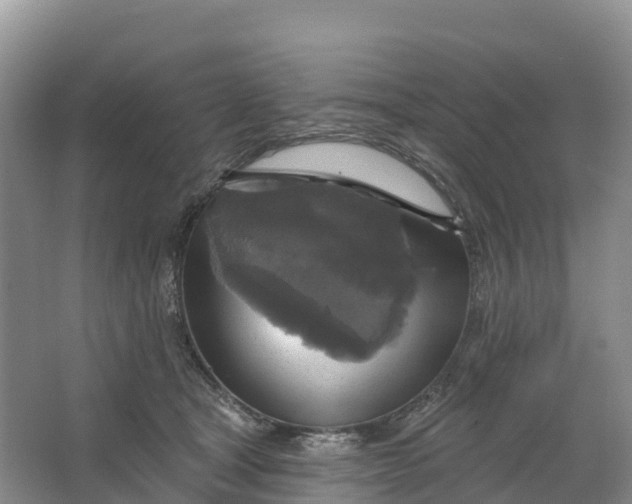 X0000064740465200602241804