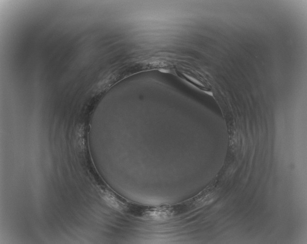 X0000064740466200602241804