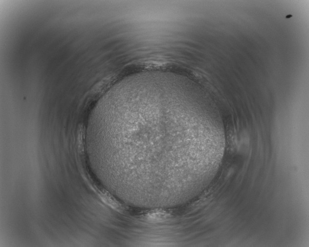 X0000064740468200602241804