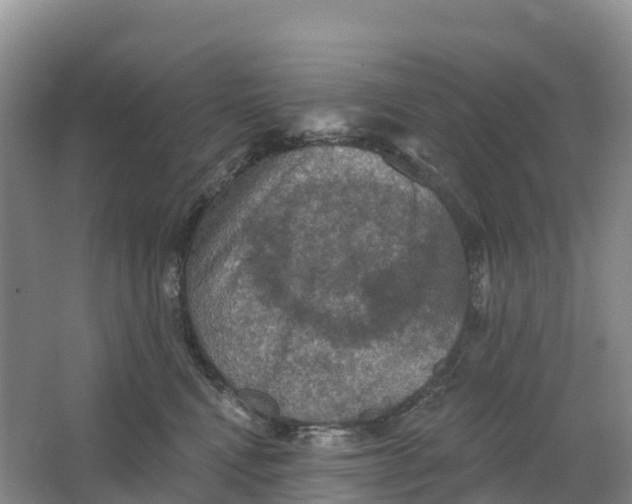 X0000064740472200602241804