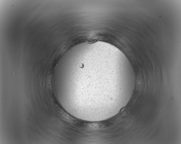 X0000064740473200602241804