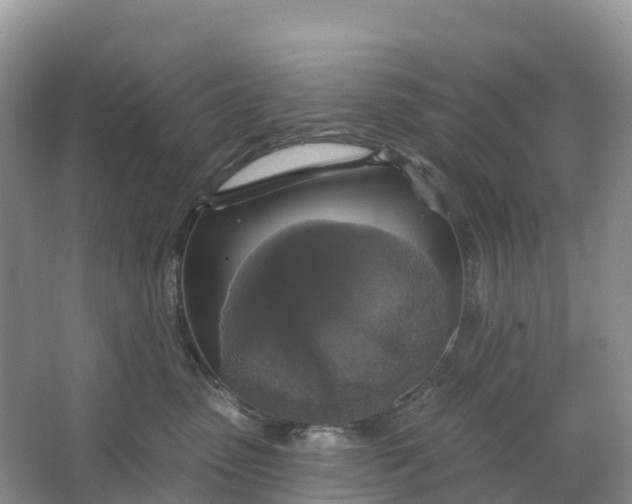 X0000064740475200602241804