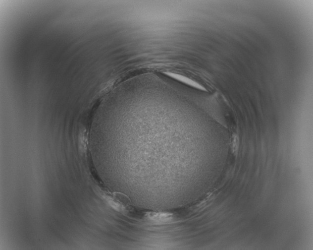 X0000064740476200602241804