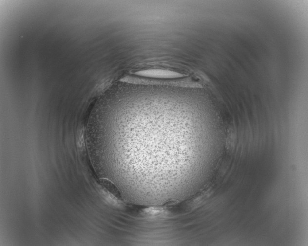 X0000064740477200602241804