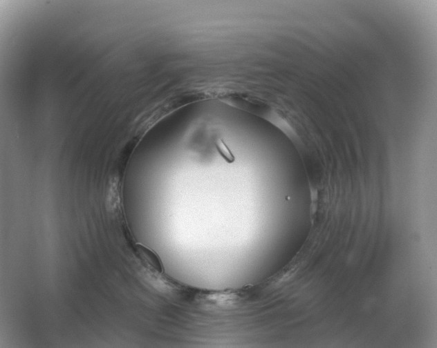 X0000064740478200602241804