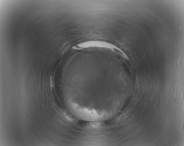 X0000064740479200602241804