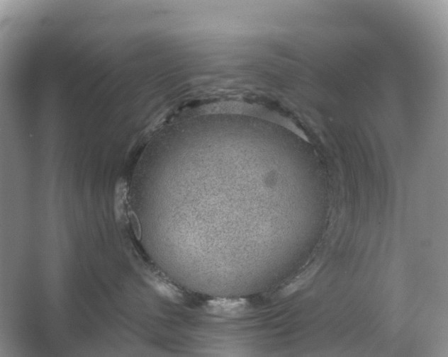 X0000064740480200602241804