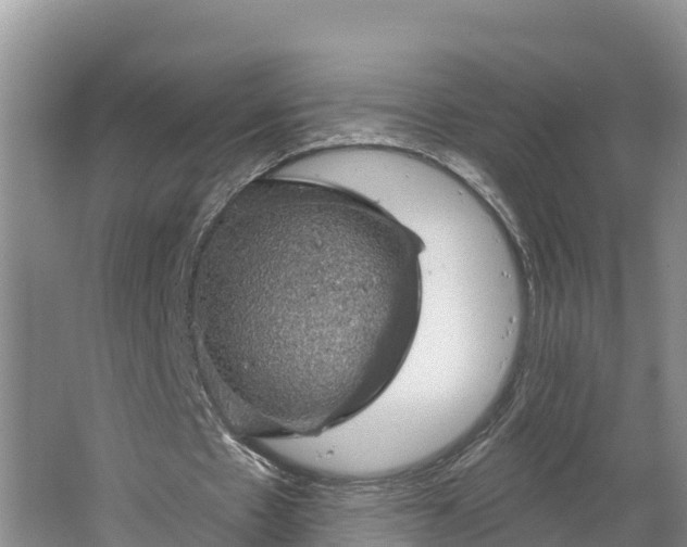 X0000064740481200602241803