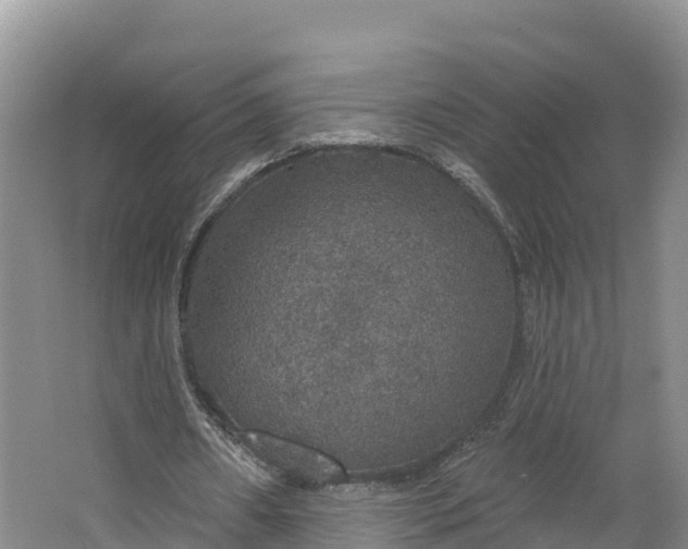 X0000064740482200602241803