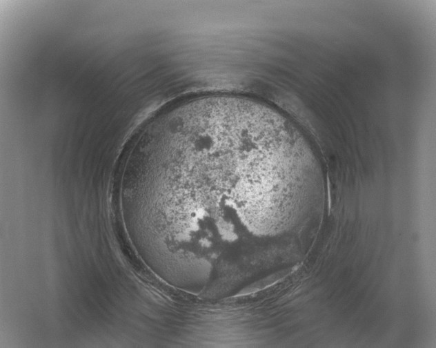 X0000064740483200602241803