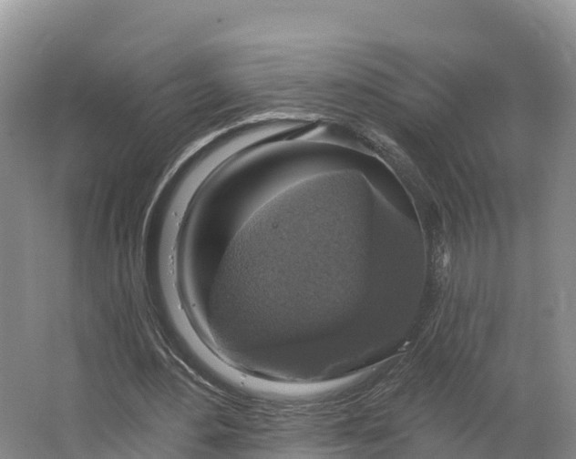 X0000064740484200602241803