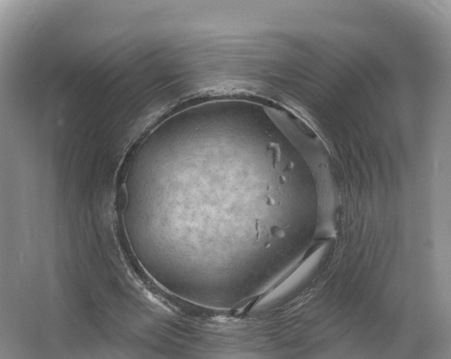 X0000064740485200602241803