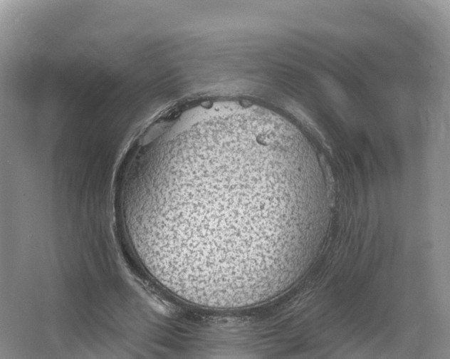 X0000064740486200602241803