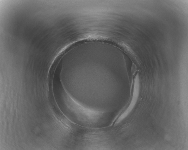 X0000064740488200602241803