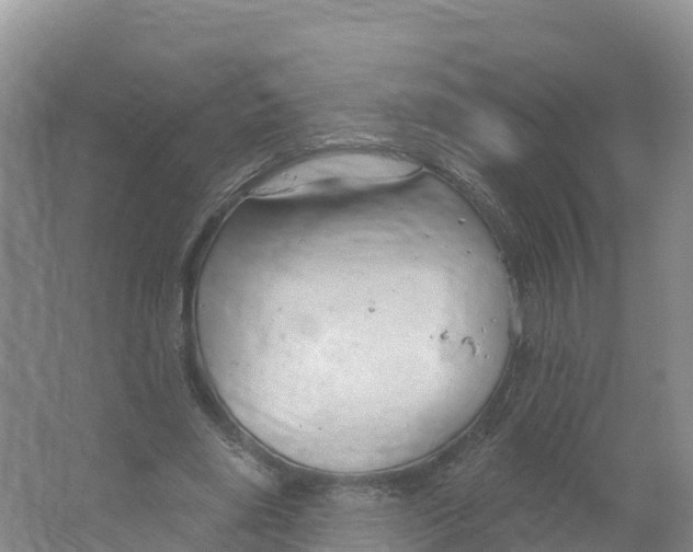 X0000064740490200602241803