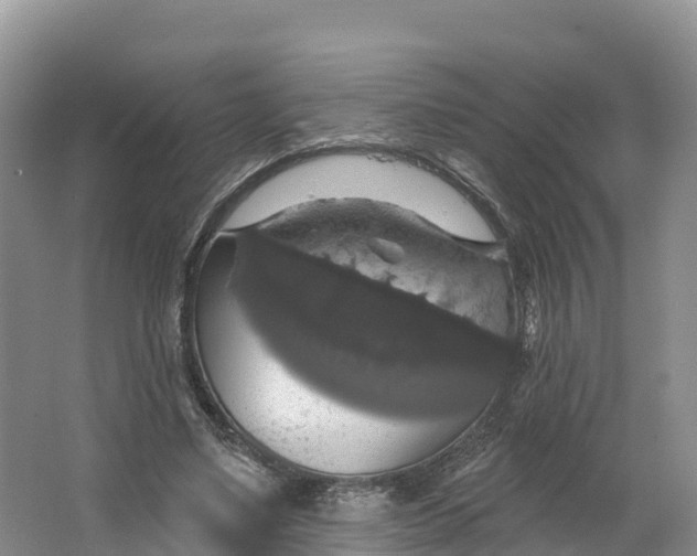 X0000064740491200602241803