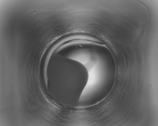 X0000064740492200602241803