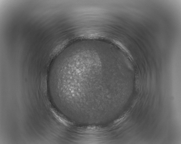 X0000064740493200602241803