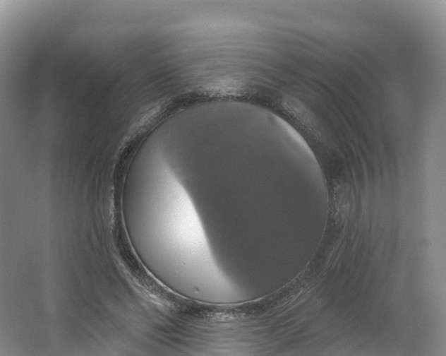 X0000064740494200602241803