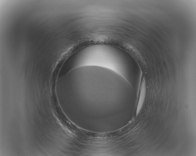 X0000064740496200602241803