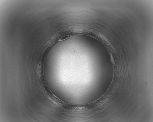 X0000064740497200602241802