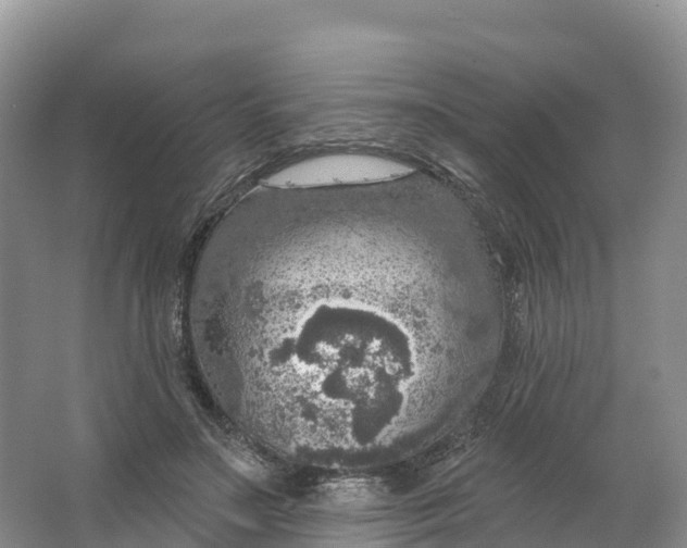 X0000064740499200602241802