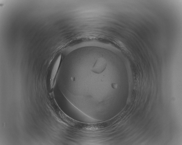 X0000064740500200602241802