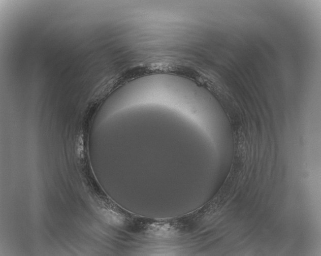 X0000064740502200602241802