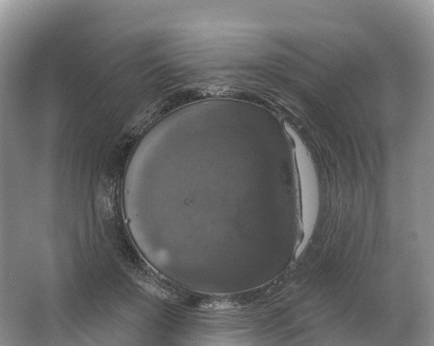 X0000064740503200602241802