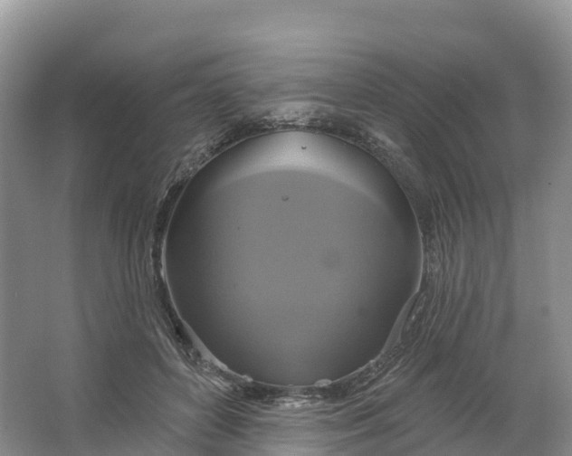 X0000064740504200602241802