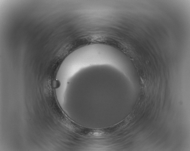 X0000064740506200602241802