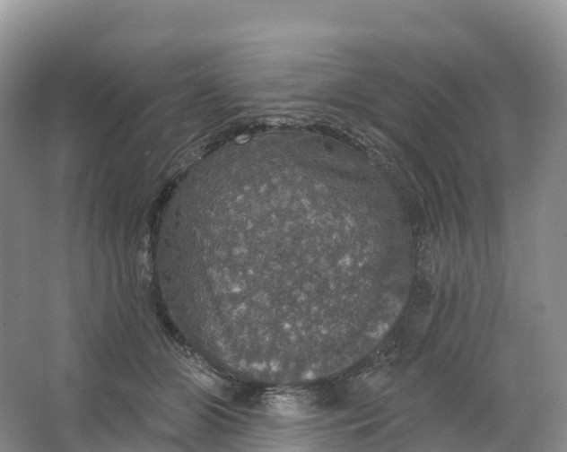 X0000064740510200602241802