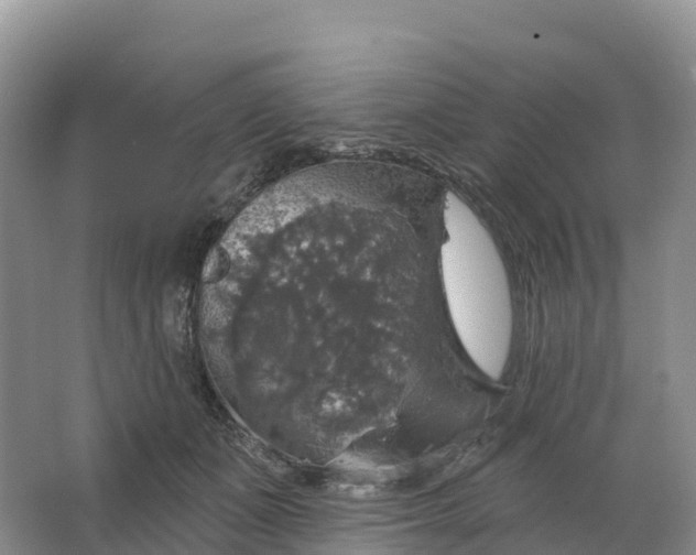 X0000064740511200602241802