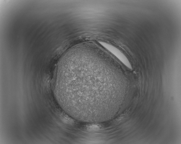 X0000064740513200602241802