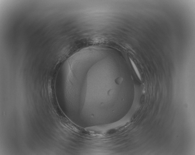 X0000064740516200602241802