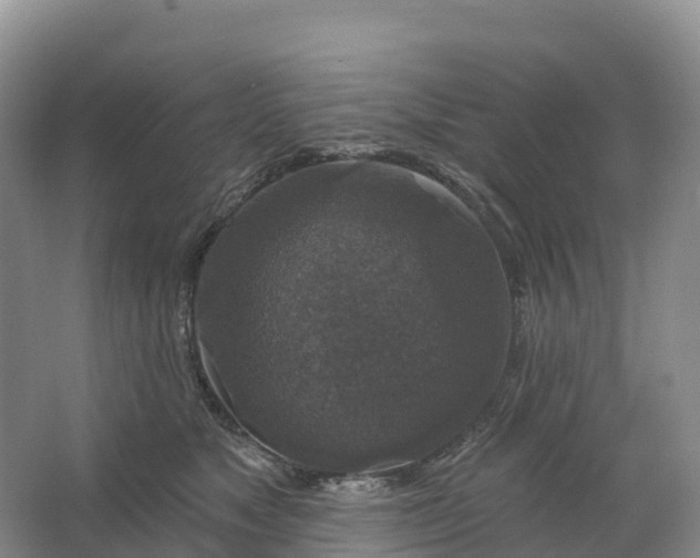 X0000064740517200602241802