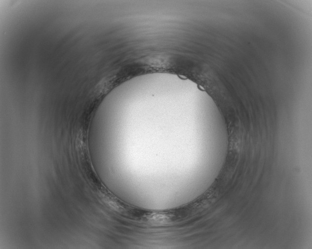 X0000064740518200602241802