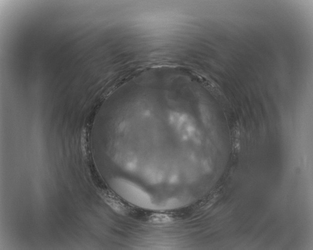 X0000064740519200602241802