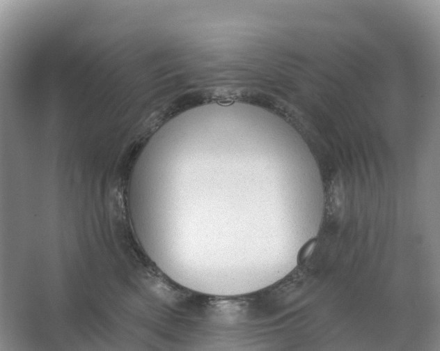 X0000064740522200602241802