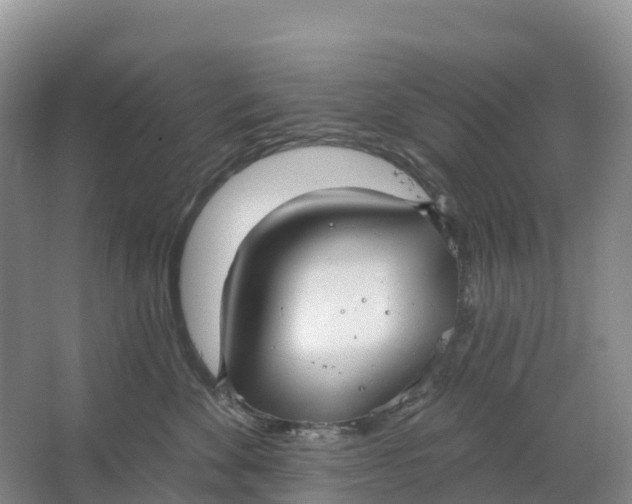 X0000064740524200602241802