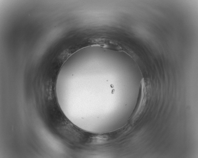 X0000064740525200602241802