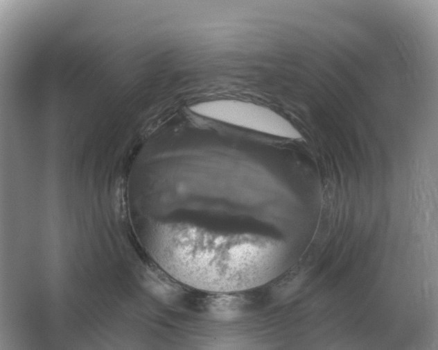 X0000064740527200602241802